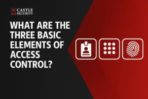What are the 3 basic elements of access control